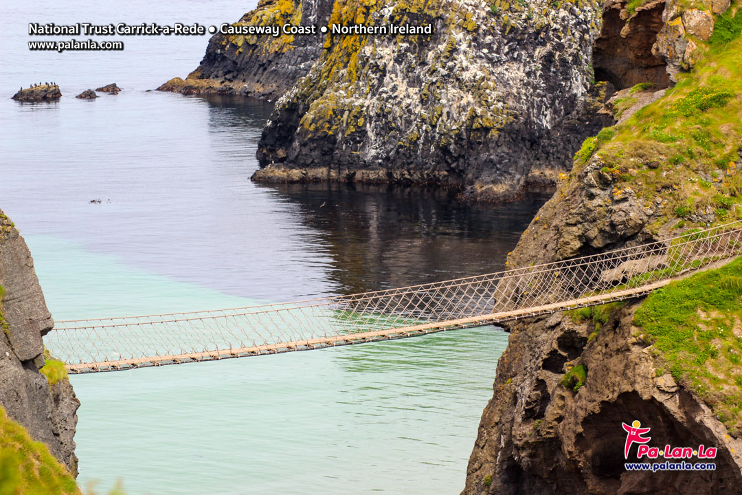 National Trust Carrick-a-Rede